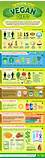 Images of Balanced Vegetarian Diet Chart